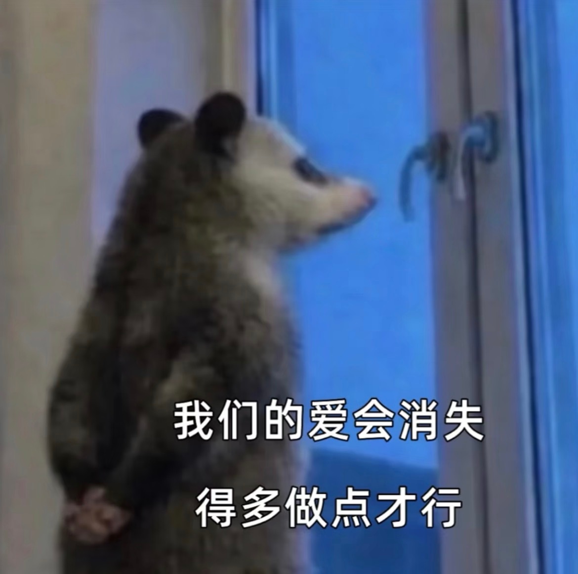 我还能期待今晚的x秀嘛？好不容易积攒的爱意不会又被芒果tv做如票给清空吧 