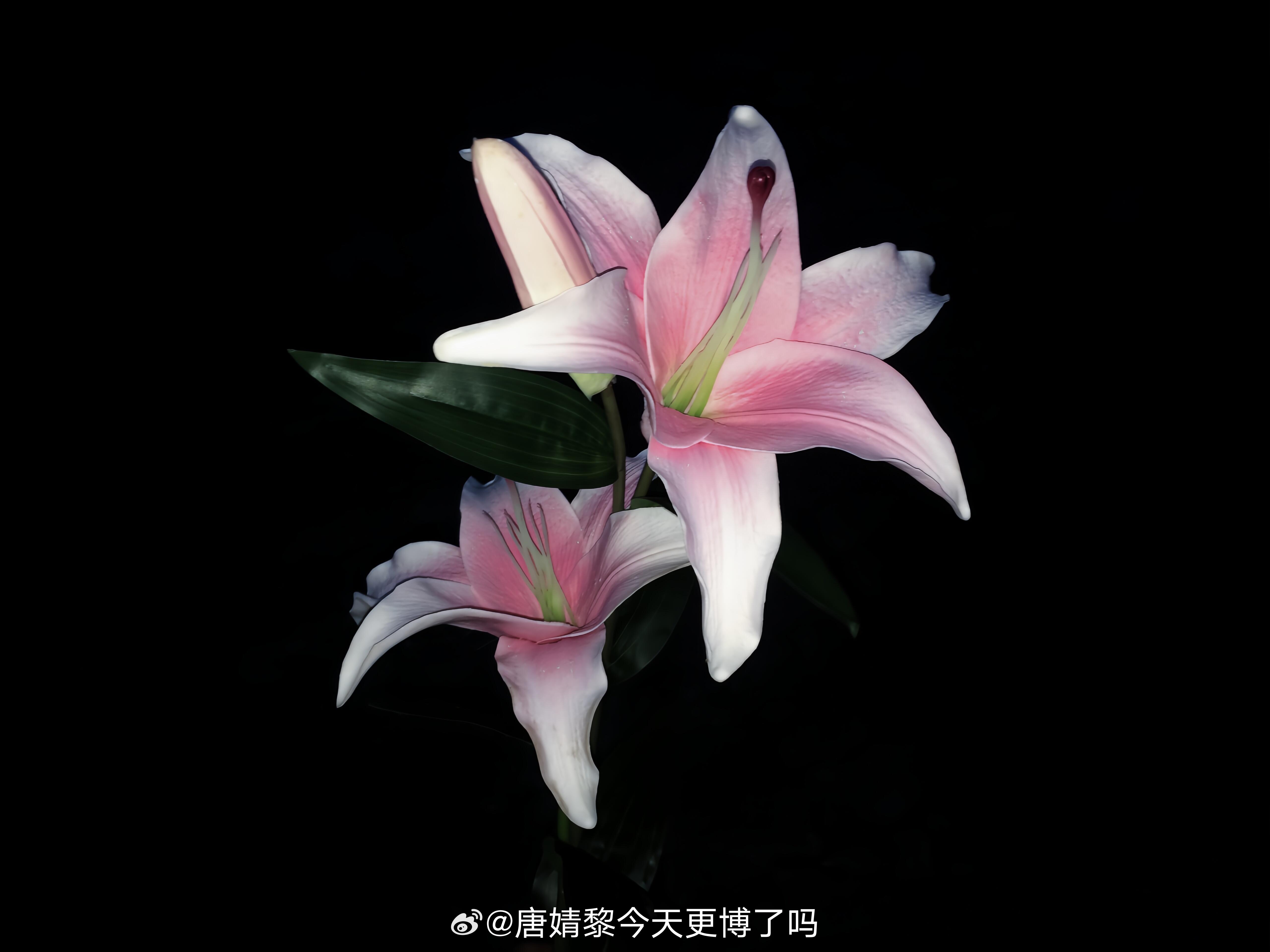 借着美股的势头，大饼已经来到64000上方。计划不变：64800附近开始布橘箜單