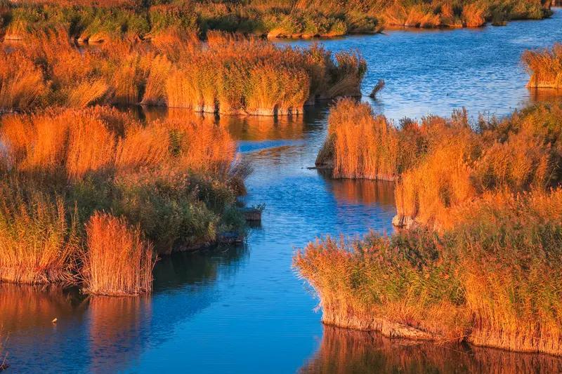 【秋季去辽宁盘锦看芦苇荡】
        秋季去辽宁盘锦看芦苇荡，那可太值了！