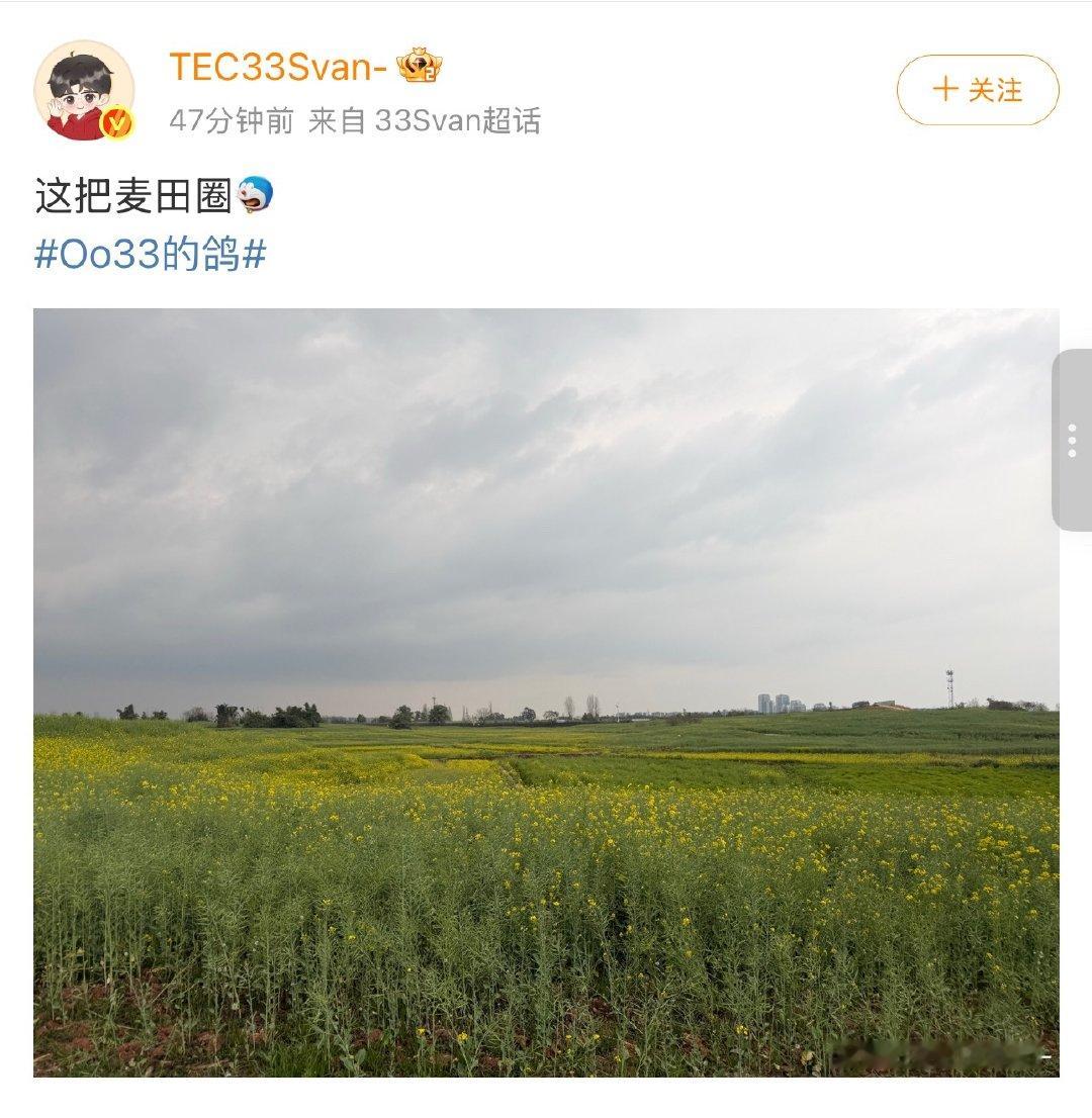 谁要看油菜花，翻转镜头看看帅鸽！33这把麦田圈