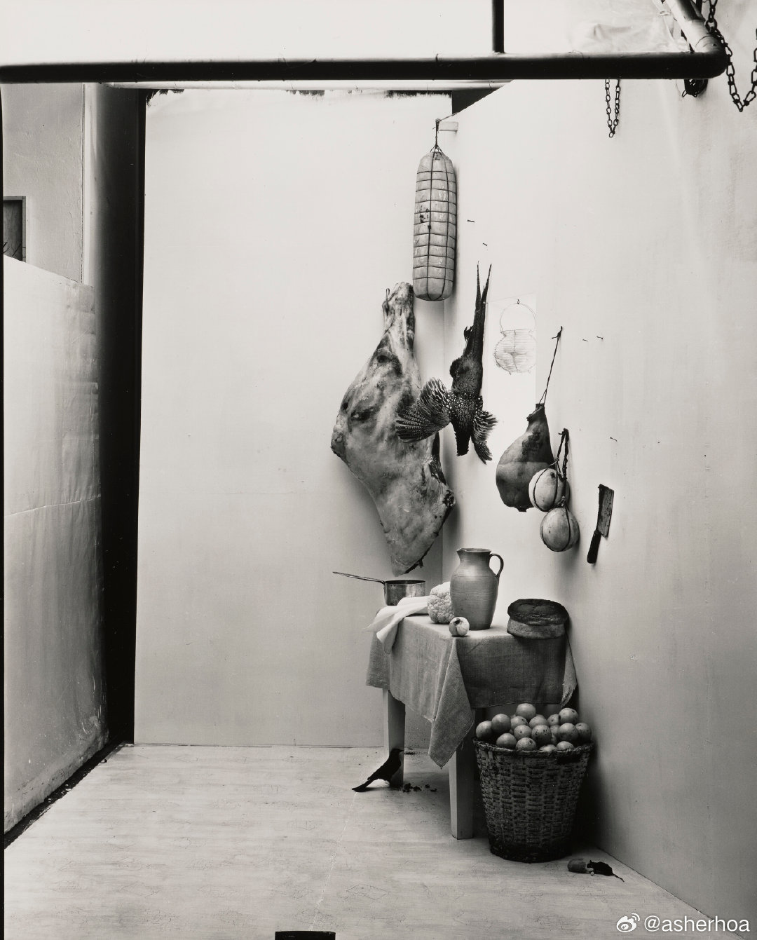 西洋历史文化鱼缸 美国著名摄影家欧文·佩恩（Irving Penn ，1917-