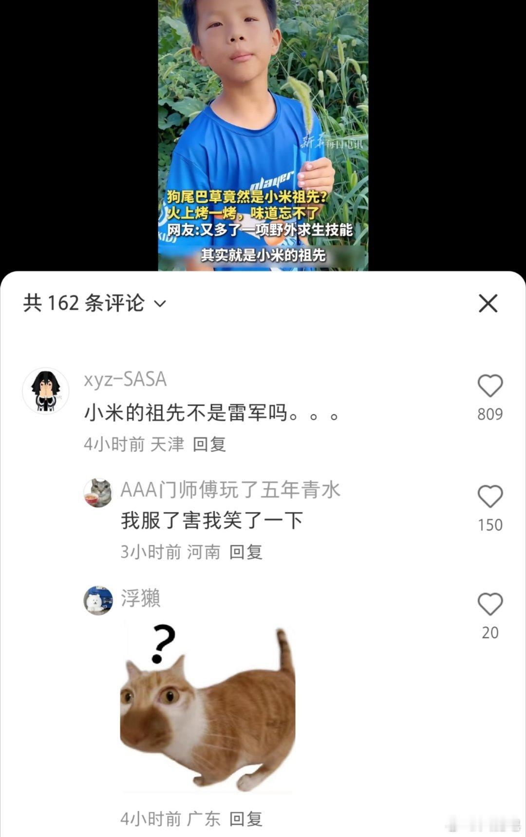 狗尾巴草是小米的祖先评论区让我笑了2分半 ​​​