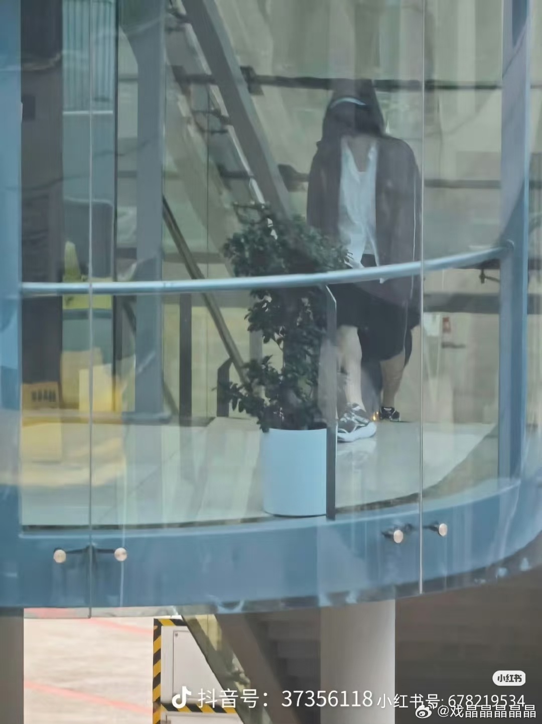 们iejj说这张图很A，左看右看没看出来一点点A。 