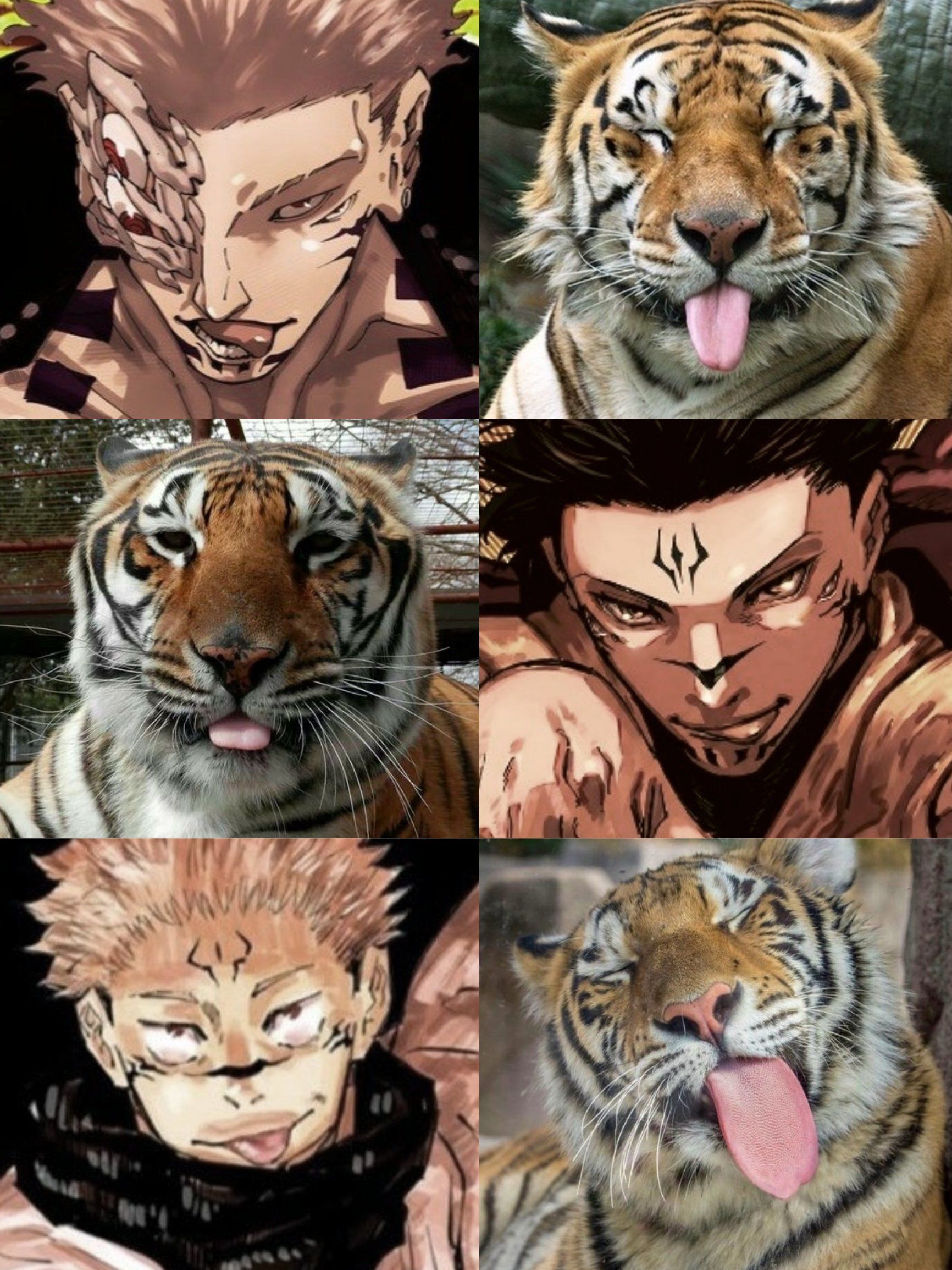 咒术回战 宿傩和老虎的相似度 