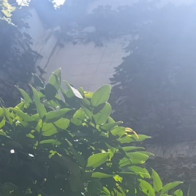 想开了，自然微笑，看透了，肯定放下，完善自己，才能抵达幸福，宽容别人，才能淡化痛