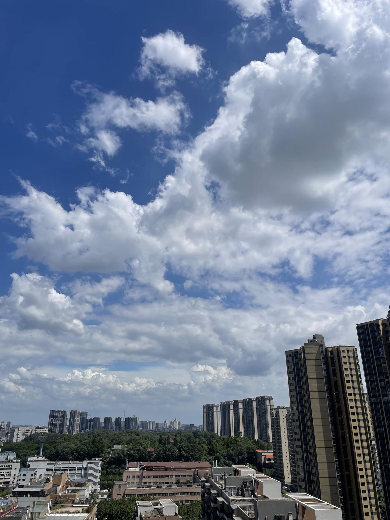 台风要来了的前奏，天依然很热🥵，树叶都耷拉着脑袋，无精打采的，中午开始有一点点