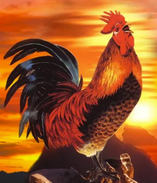 方圆天地，为头条联友对联\
几缕炊烟随雾散，
五更鸡唱催黎明。