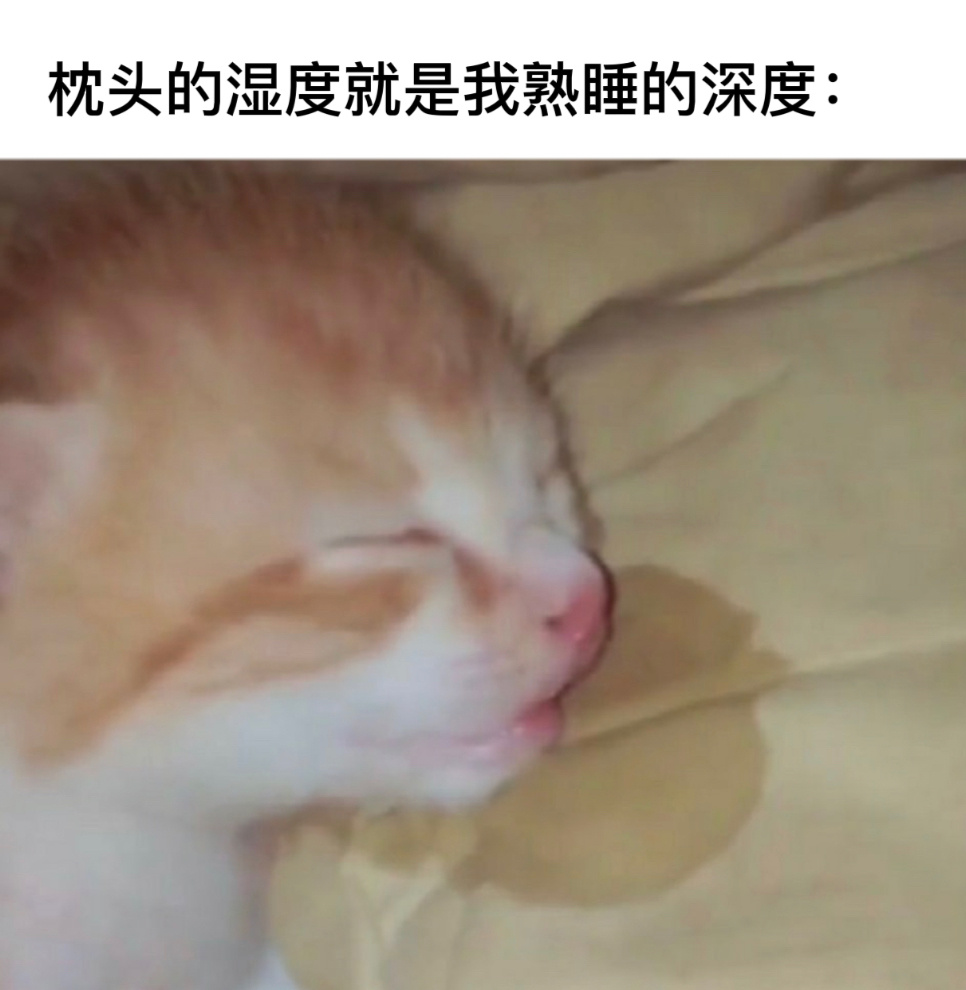 睡得好香#今日memes# //#我的春日狂欢日记# ​​​