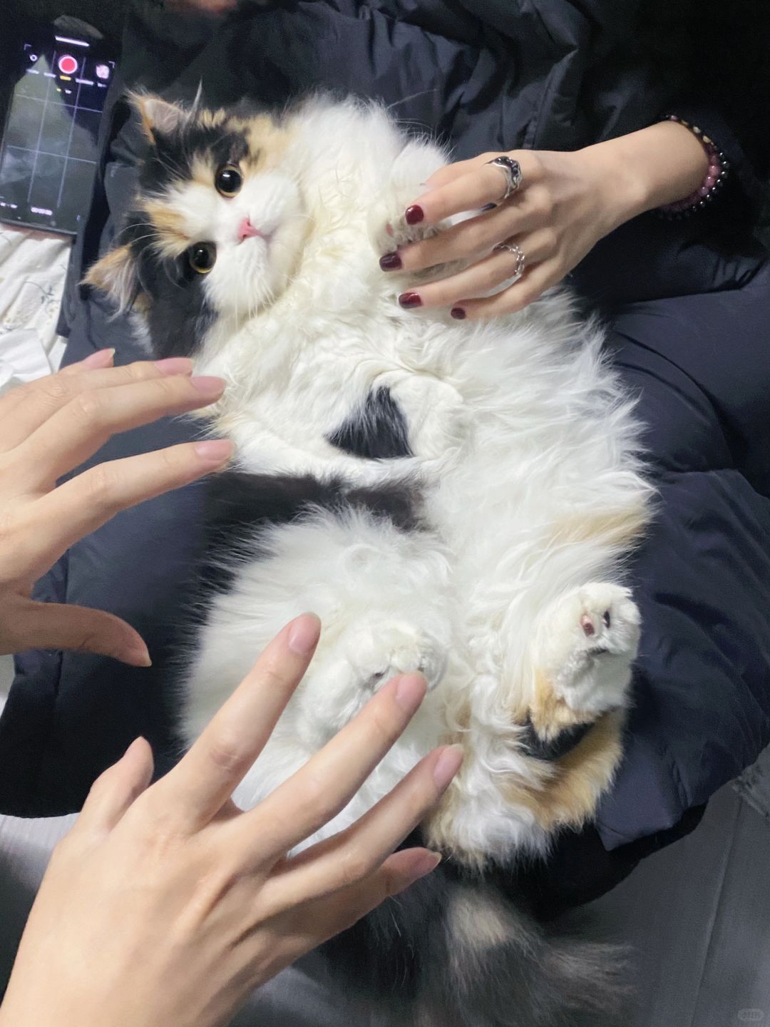 不努力就会成为女人的玩物