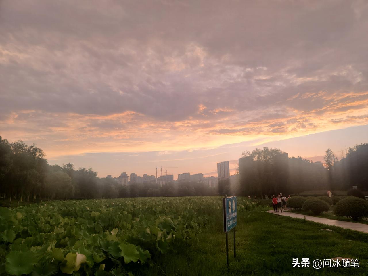 别被“白手起家”的滤镜骗了？职场选老板，真相很扎心。

为什么说拿高工资要找富二