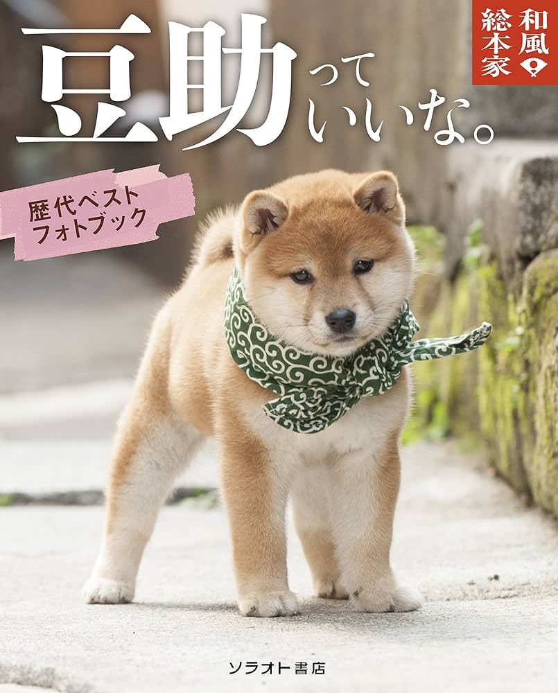 以前日本的狗叫作町犬，并不是个人家养的，也不系绳，在街上漫无目的的徘徊，谁家有饭