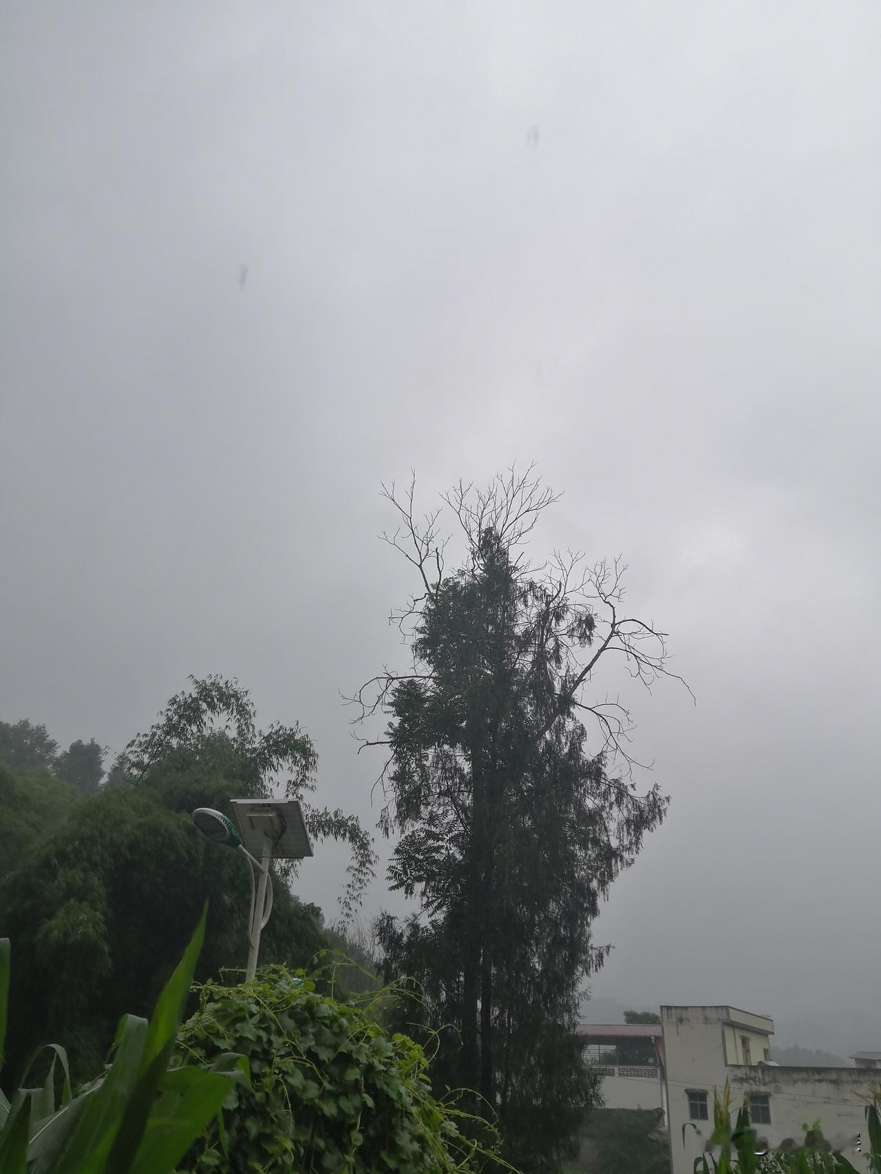 2026年6月17日德阳市中江县冯店片区，今天是阴天下大雨，好久没有下雨，在农村