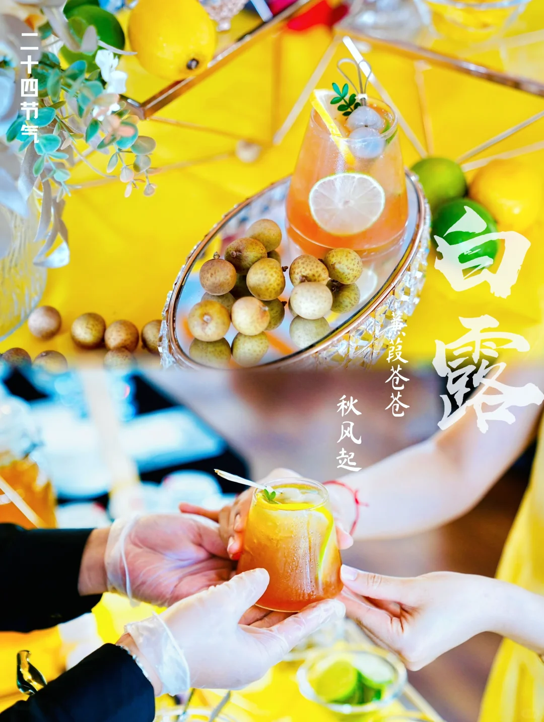 蒹葭苍苍下一句是