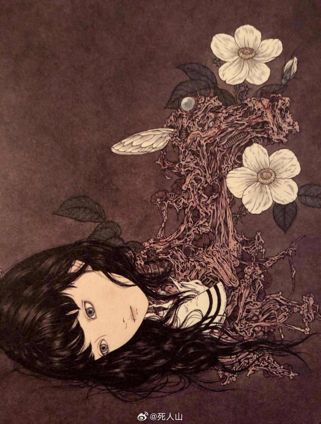 纯粹蜕变 