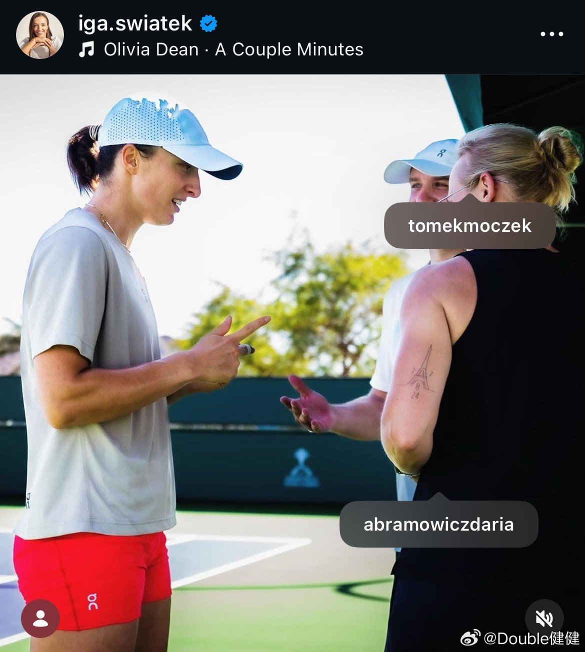 网友批评斯瓦泰克与其心理师达莉亚·阿布拉莫维奇的关系。其心理师这个纹身也被翻了出