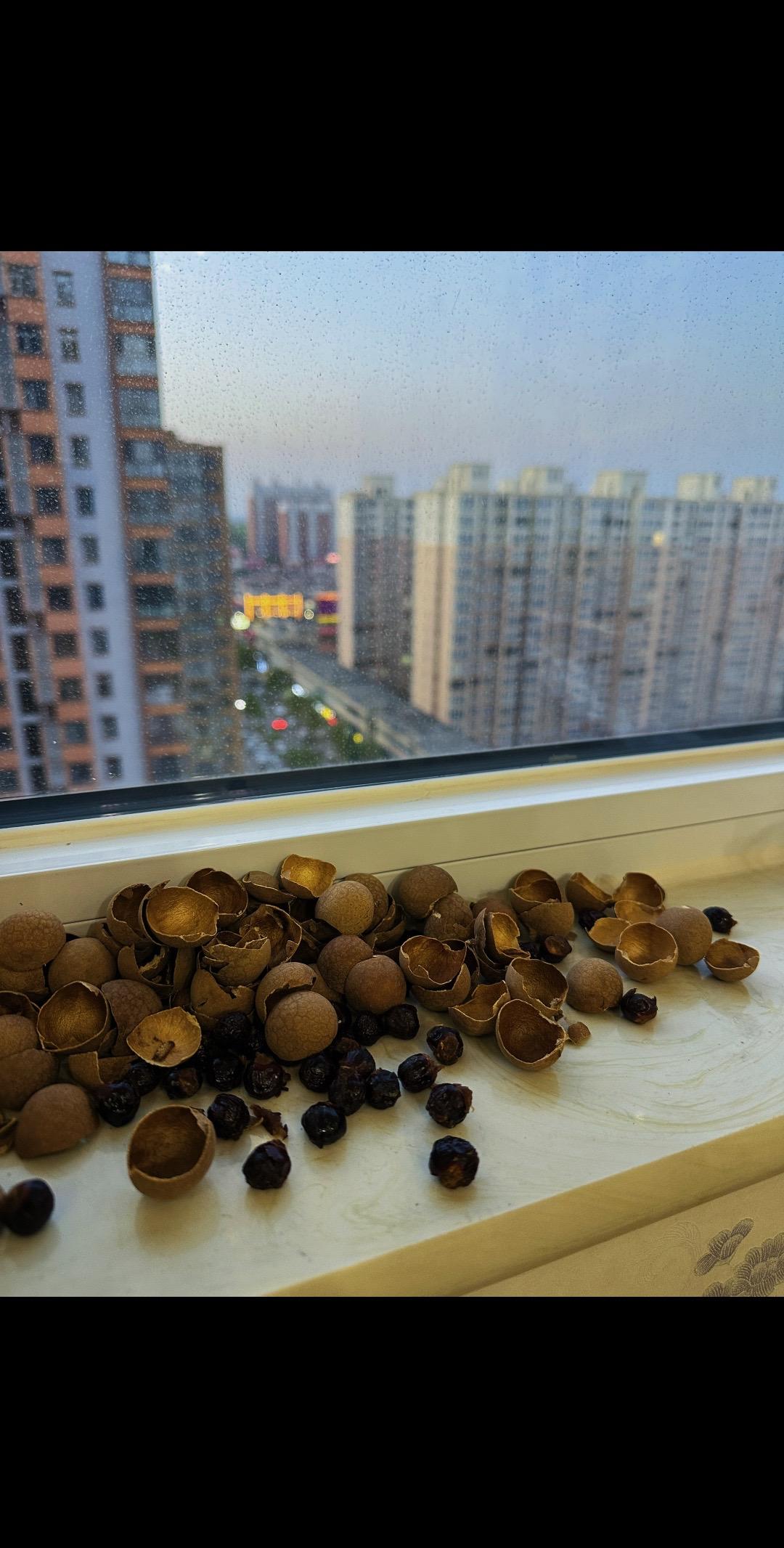 吃再多的桂圆也补不回原来的我