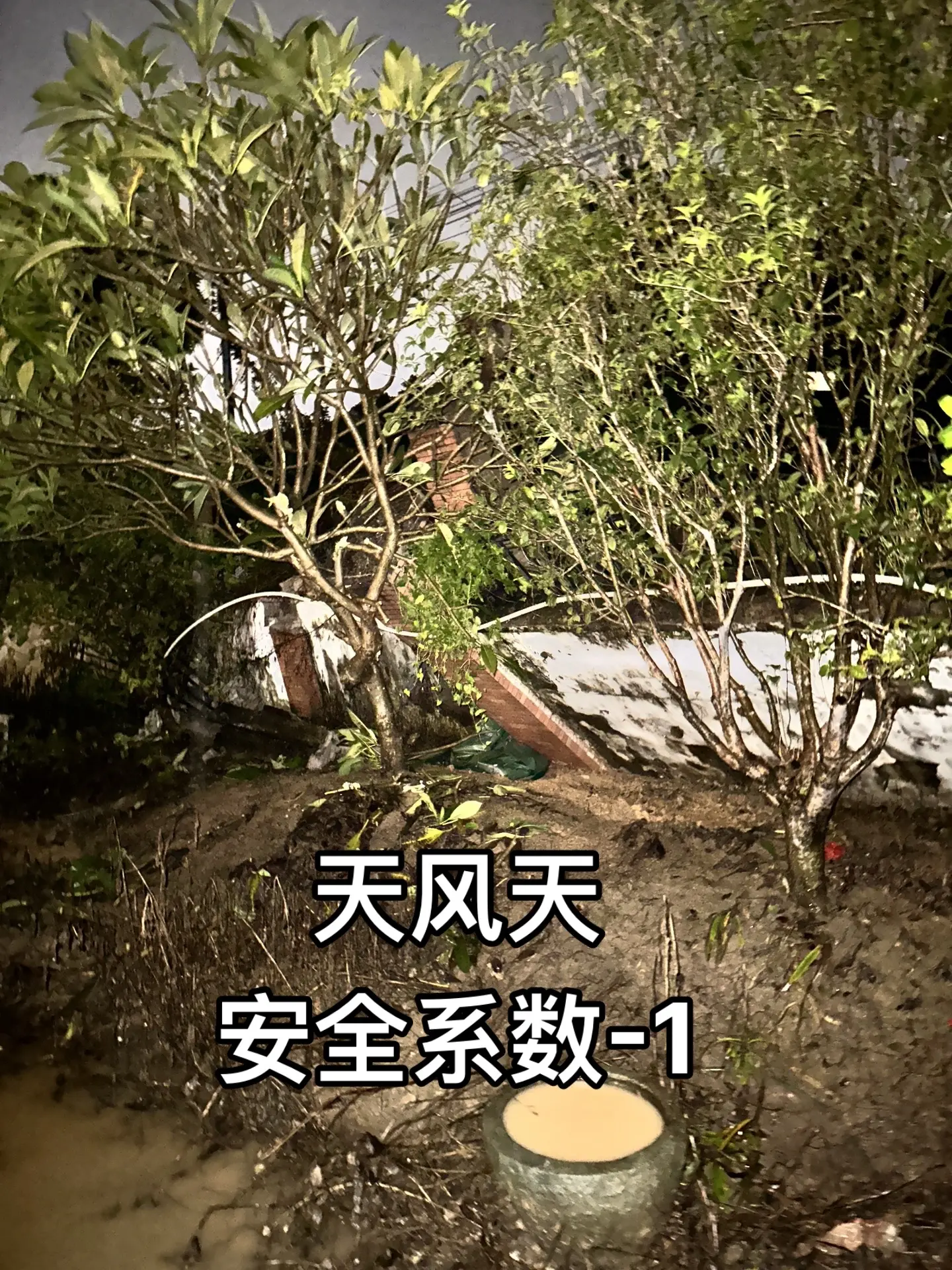 希望大家都可以平平安安的