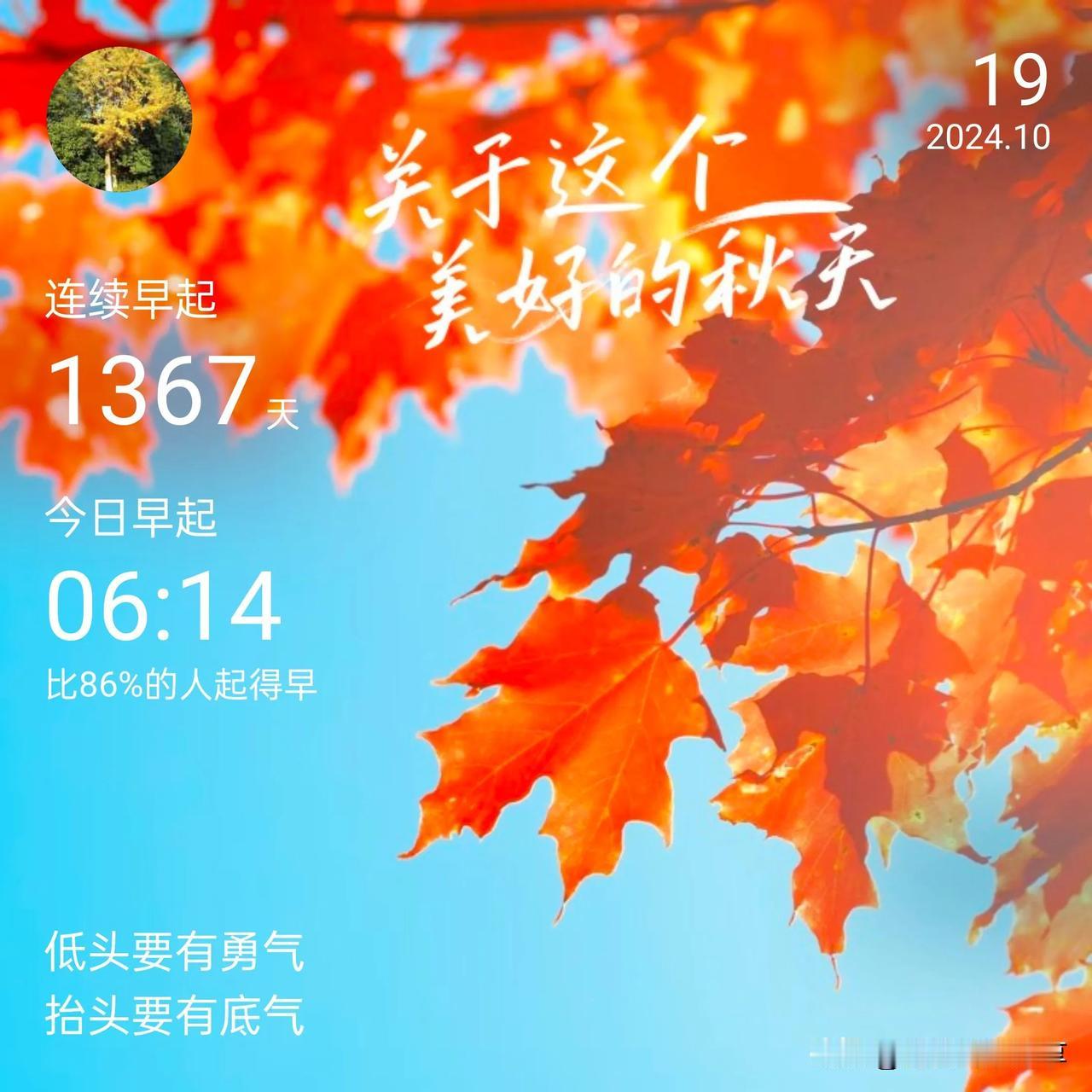 退休生活丰富多彩：红包做收纳盒
2024.10.19         天气下雨