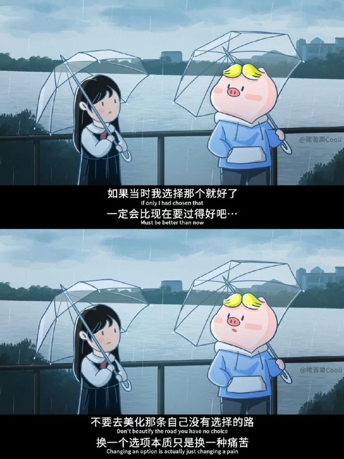 不要去美化那条自己没选的路 ​​​