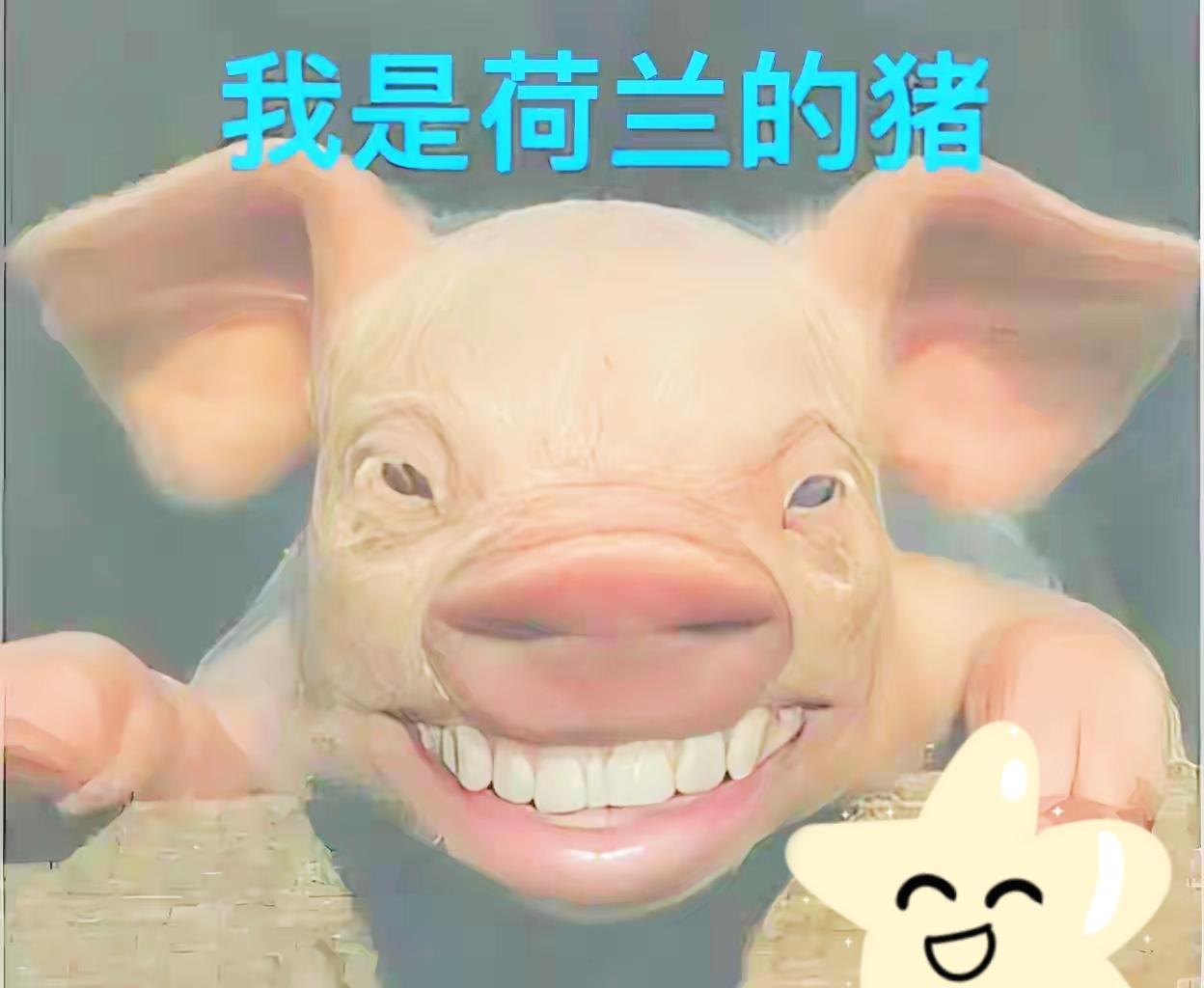 突发笑话：荷兰的猪笑了[捂脸]

  槽点来了！荷兰鹿特丹港，足足97%的猪肉目