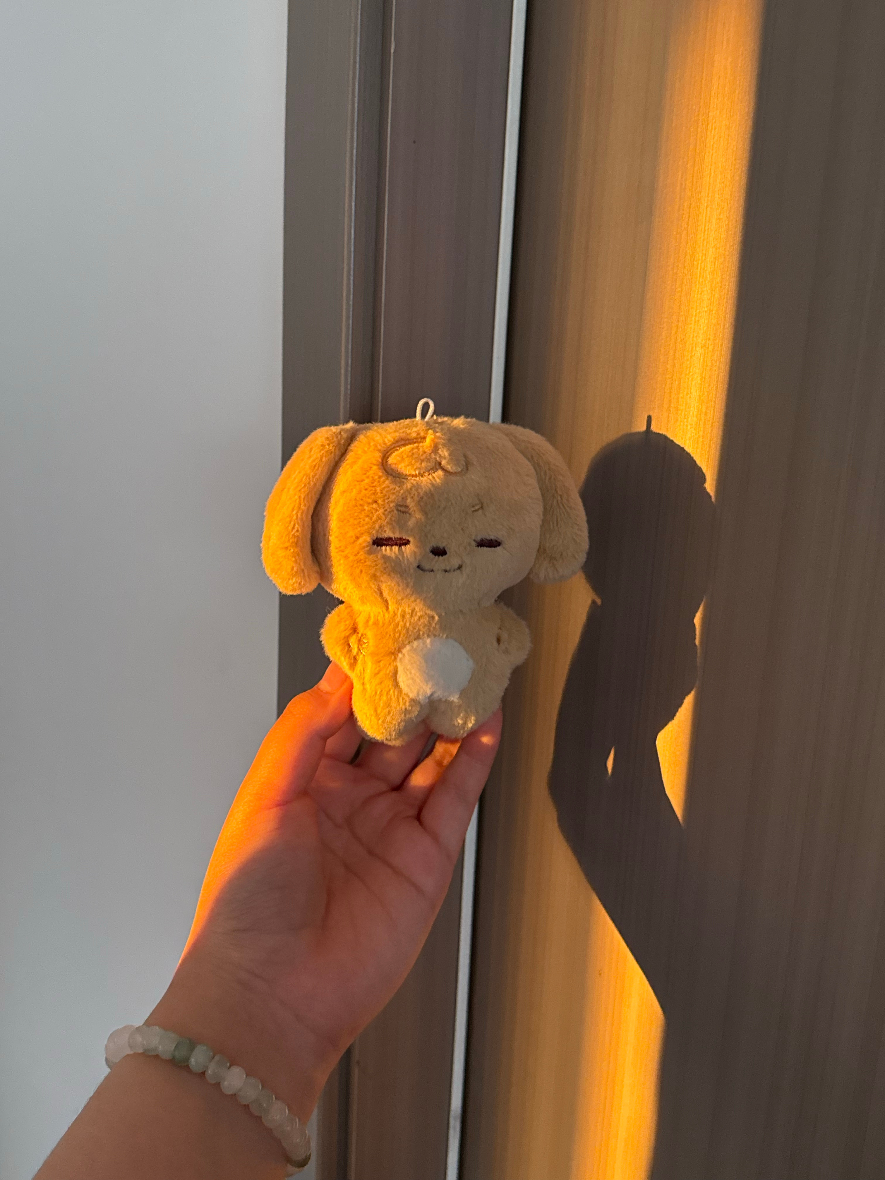 眯眯晒夕阳。眯眯穷讲究。之前我看到眯眯吃完口香糖，用纸包起来放口袋里，那时候我是