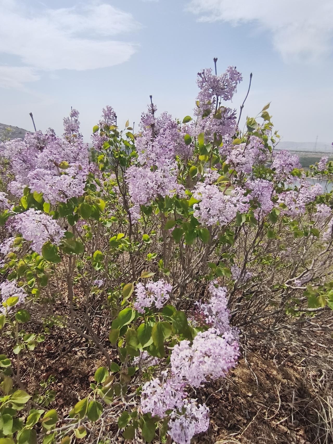 刚才洗衣店给我打来电话，问我的洗衣卡还在不在。你还别说，我真好久没动卡了，去年就