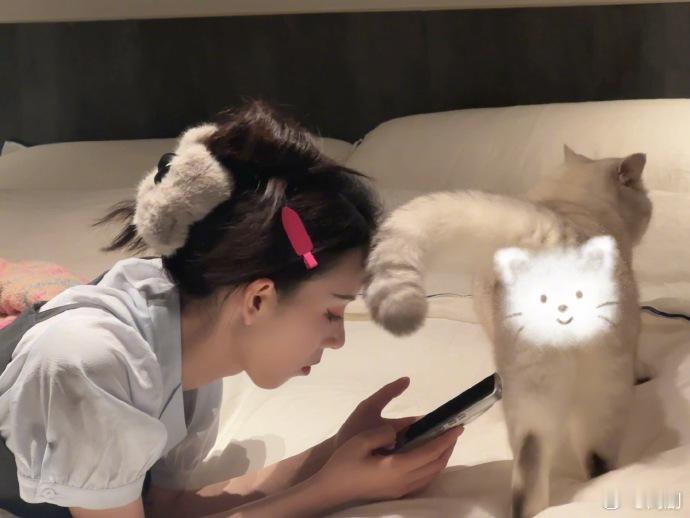 陈瑶完全御兽宗圣女陈瑶的小呼报恩型小猫好羡慕小呼的猫生，每天都可以被温柔对待，被