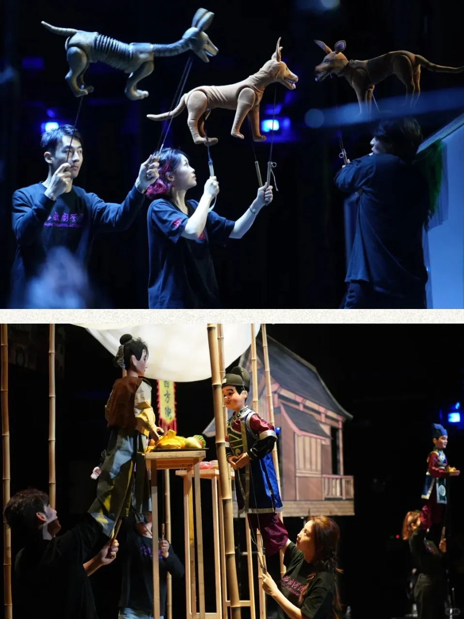 又有🆓舞台剧‼️浦东人民周末真的闲不下来