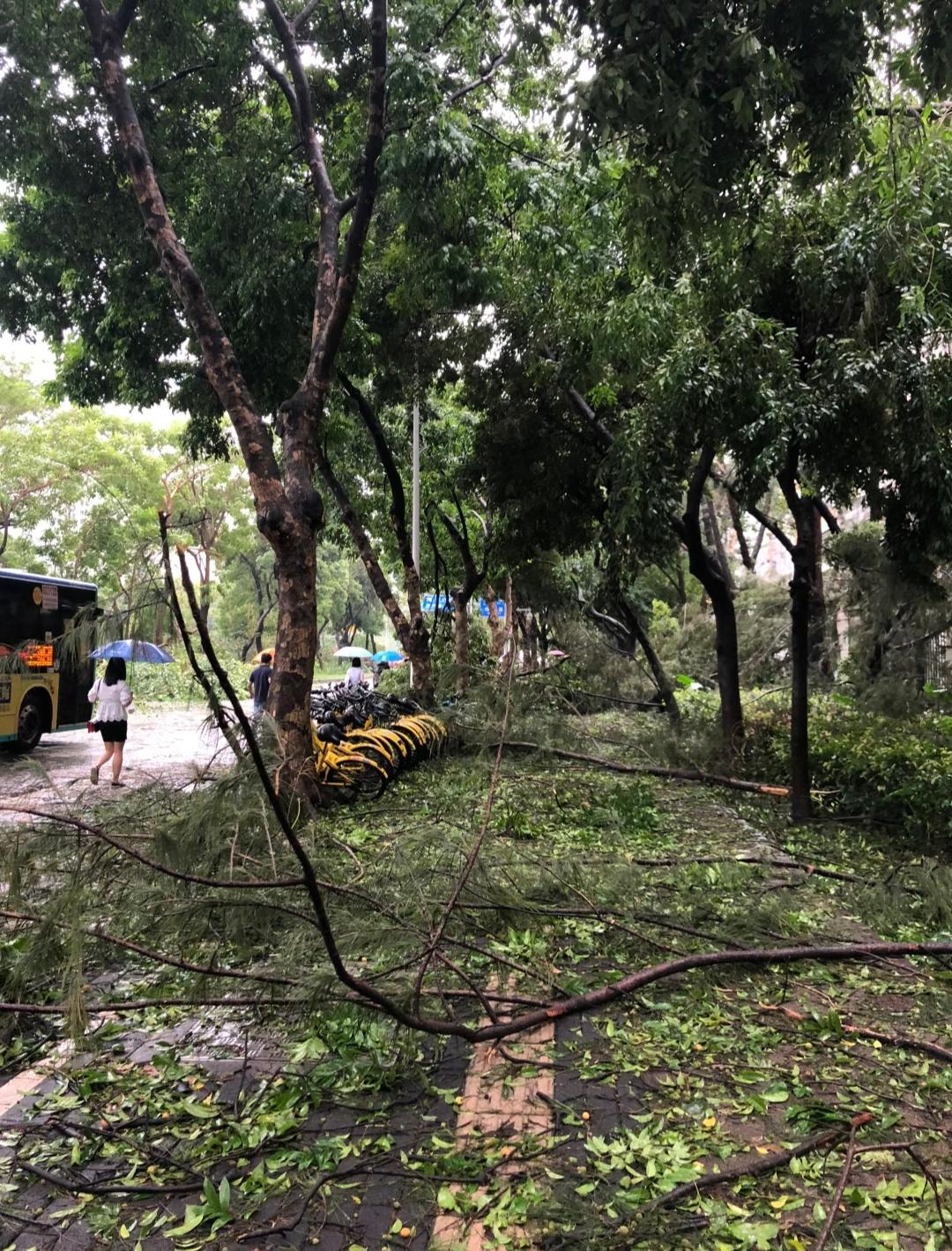 虚惊一场！台风“桦加沙”拐道，城市躲过一劫
 
家人们，昨天晚上可把我吓得不轻！