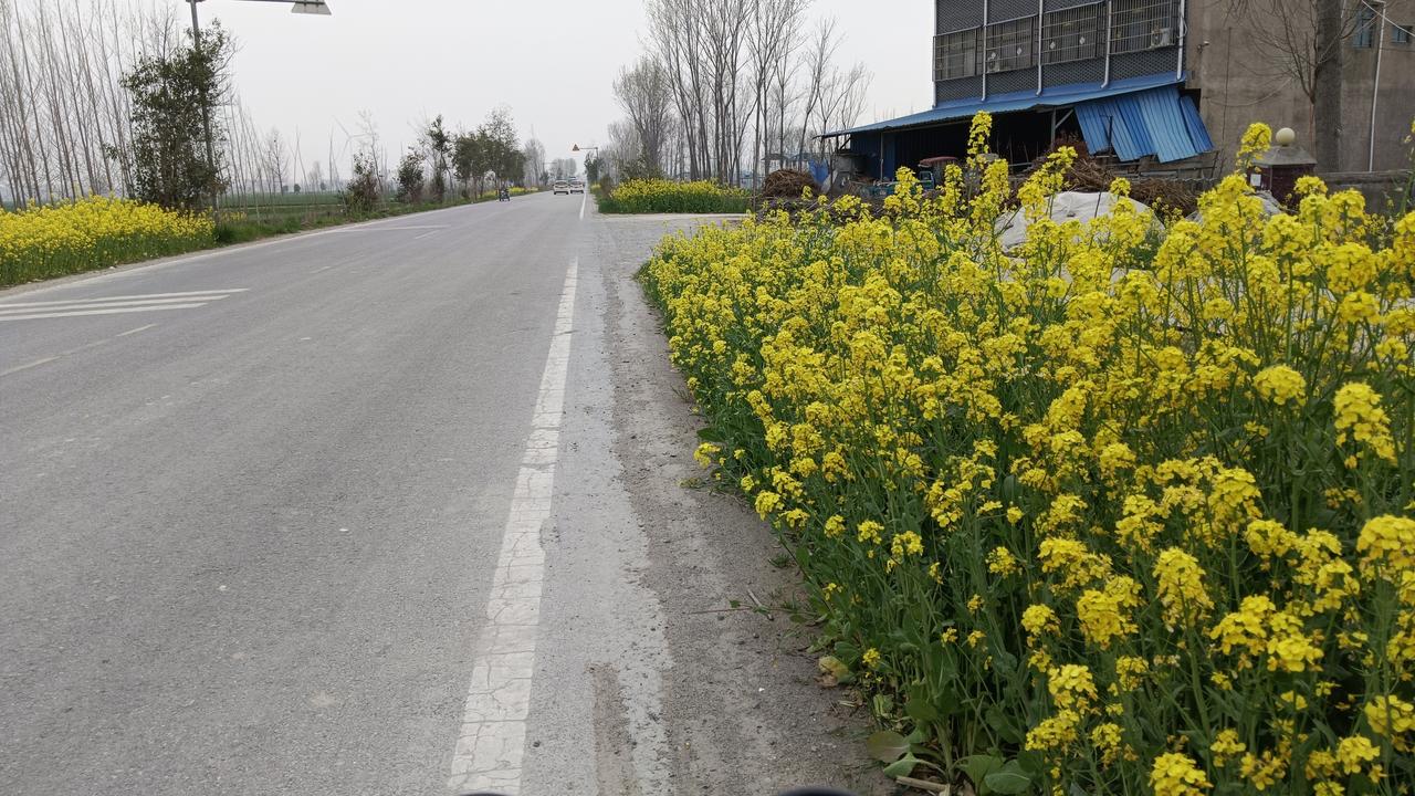 今年春天，我希望我在头条上月入过百，我就满足了。

虽然我的头条上流量很少，粉丝