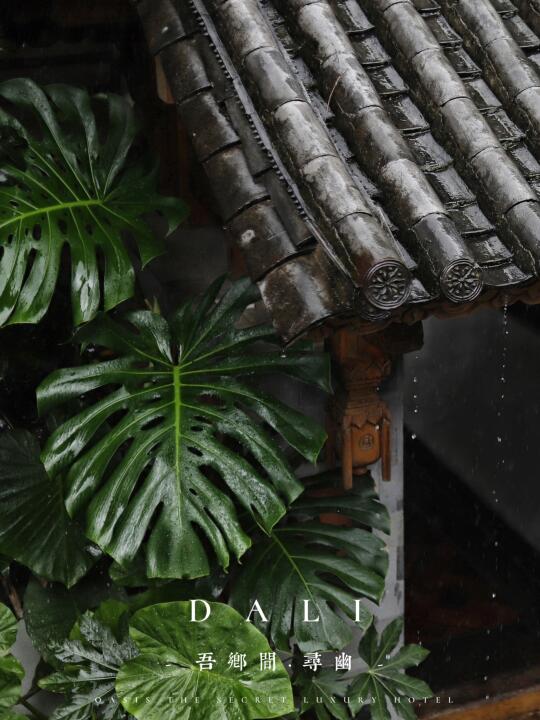 从大理的山野到海边，这才是三月的打开方式