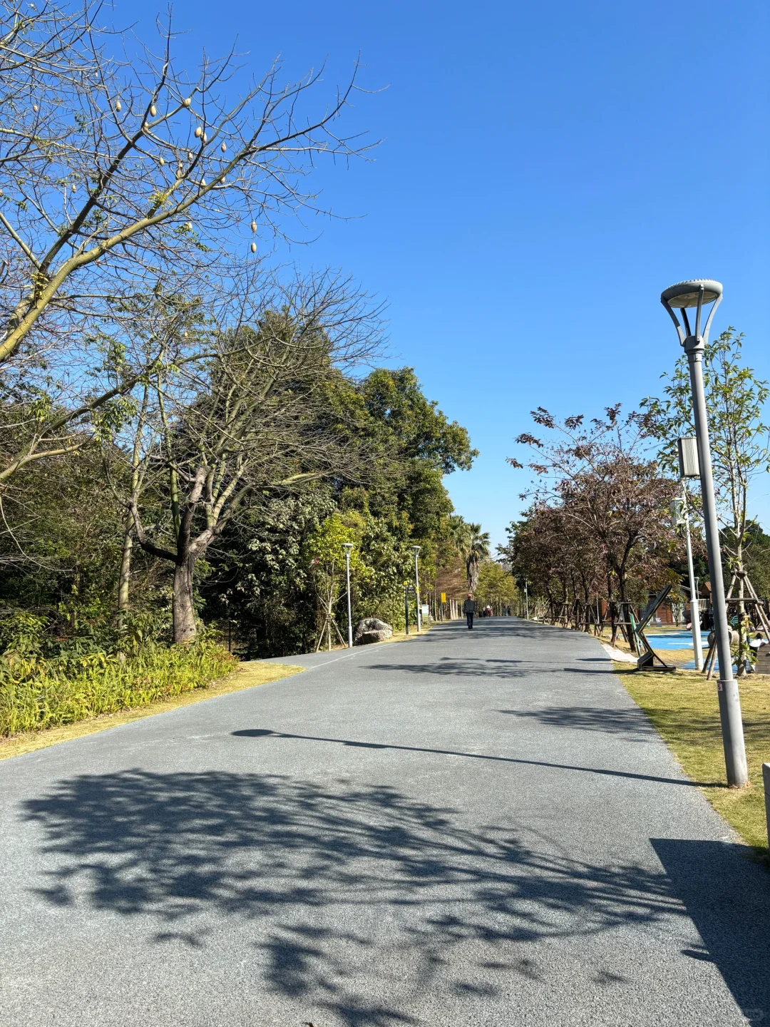 天哪，现在这汇率让我后悔结汇早了