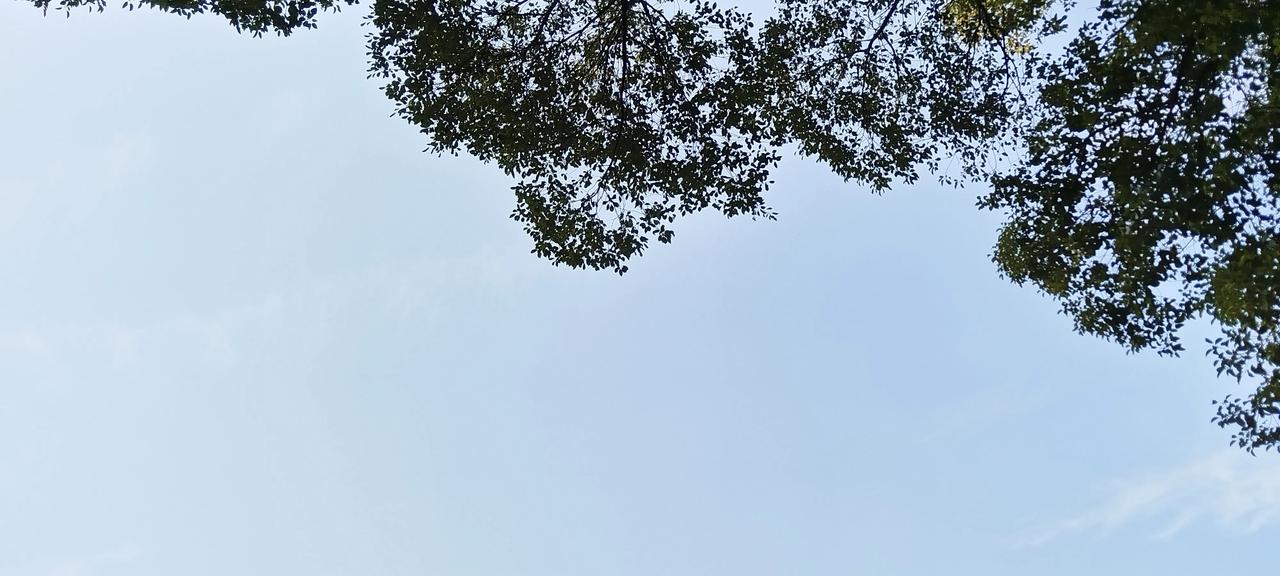 可以分享一张你拍的天空美照吗