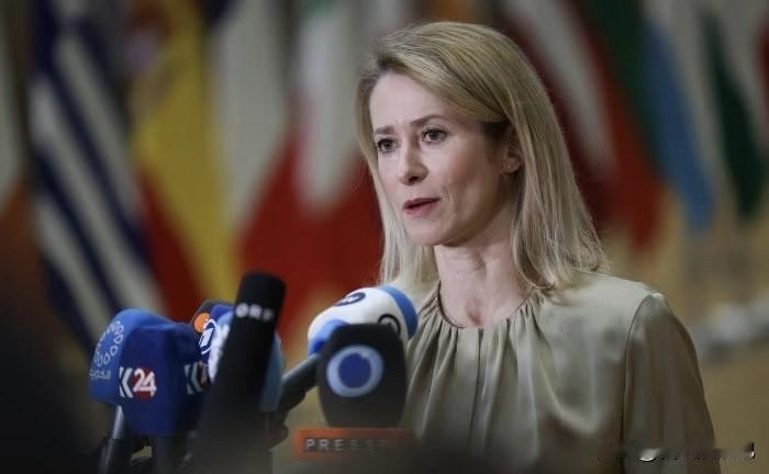 欧洲联盟及部分成员国通过了一项关于向乌克兰派遣国际维和部队的最终决议。根据决议，