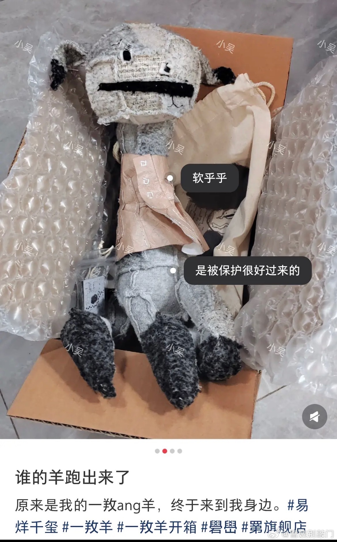 易烊千玺周年玩偶实物图，卖499太贵了吧 ​​​