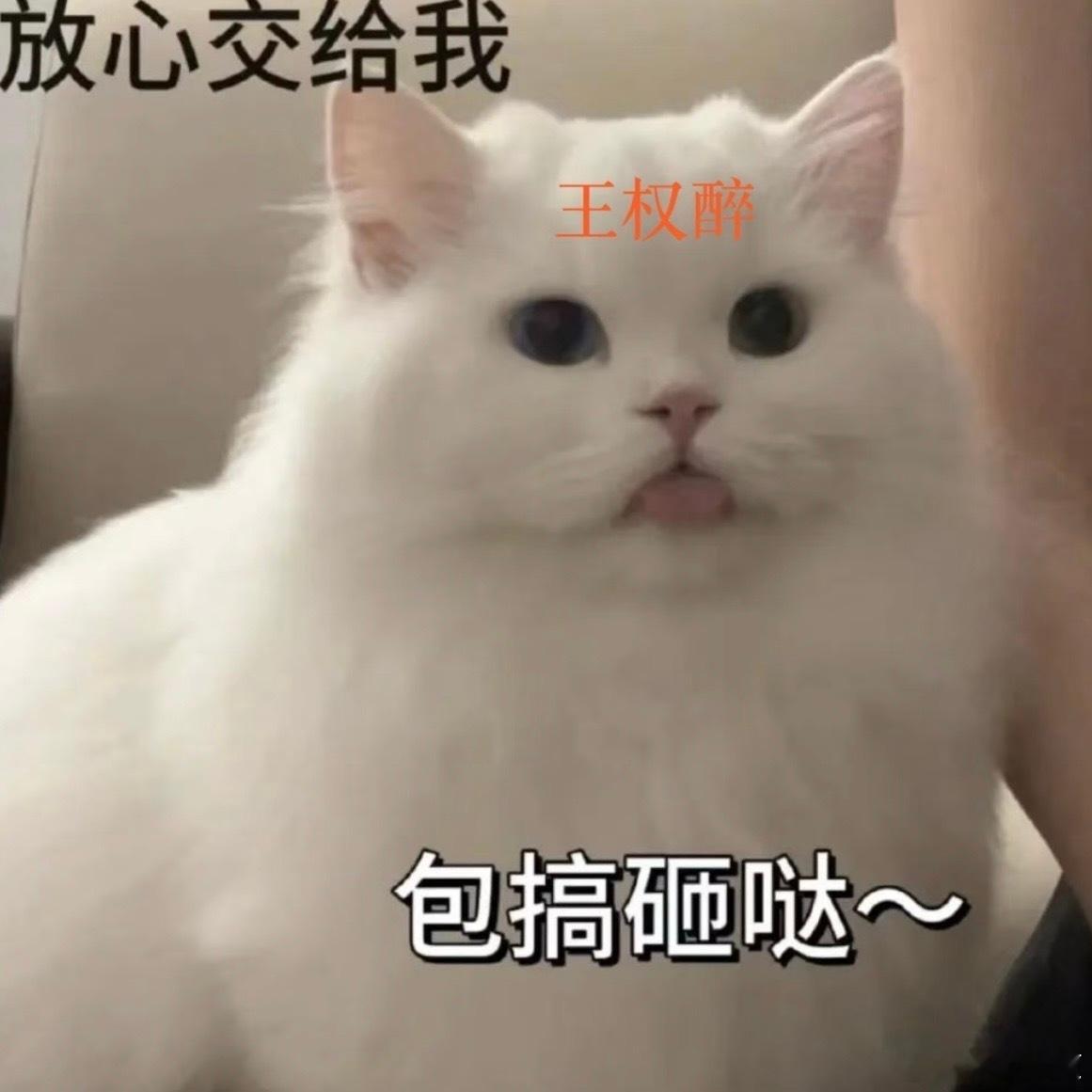 情侣想改名惹怒老父亲 这真的不是在搞抽象嘛？好像总是妈妈更能理解一些我们奇奇怪怪