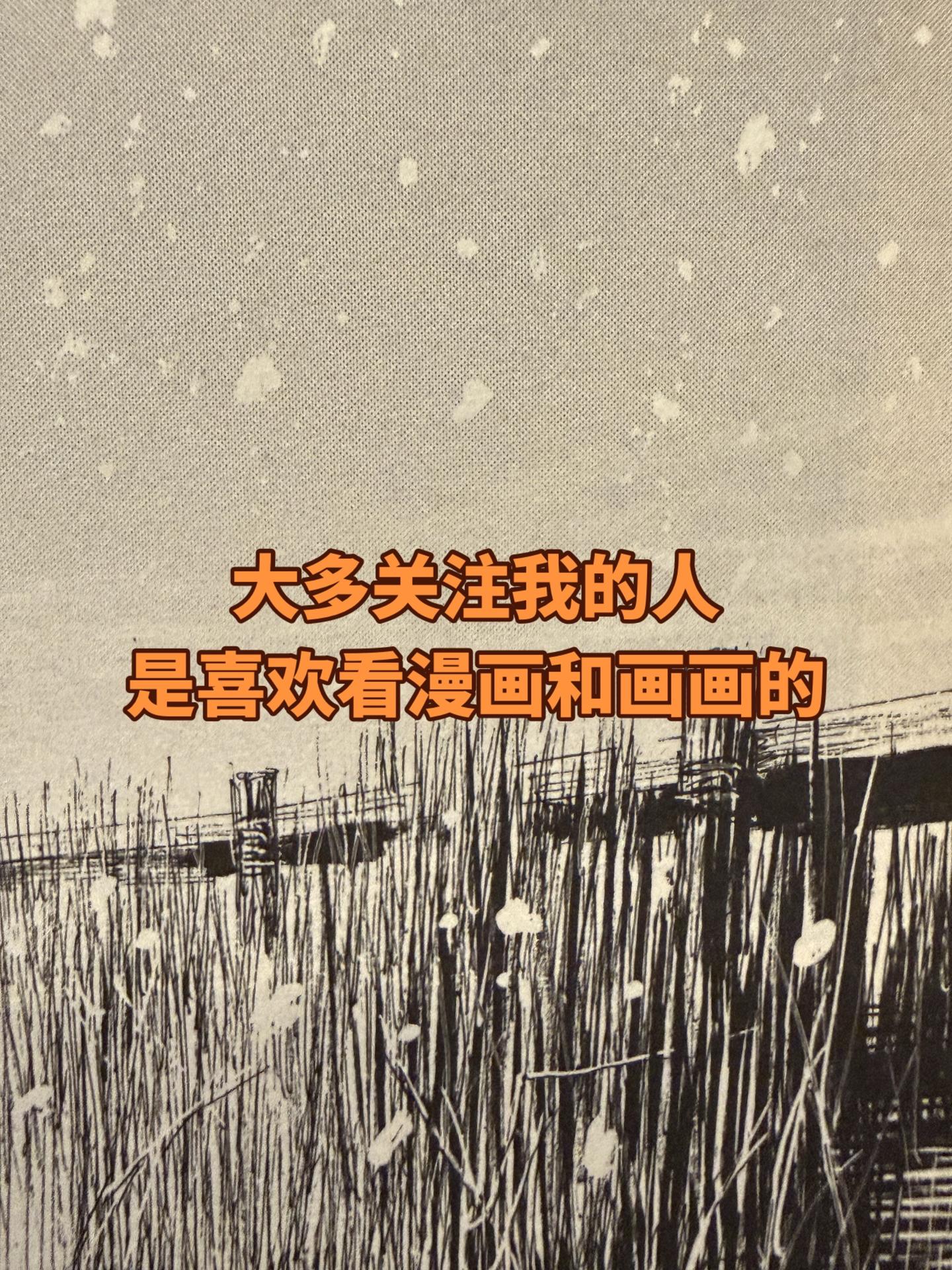 随便聊聊。主要是想发图，但是感觉不说点什么好像有点敷衍……大致就这样。...