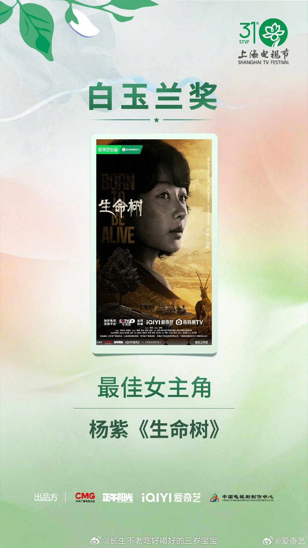 白玉兰最大赢家爱奇艺白玉兰最大赢家爱奇艺实锤了！6部作品14项荣誉，杨紫还拿下视