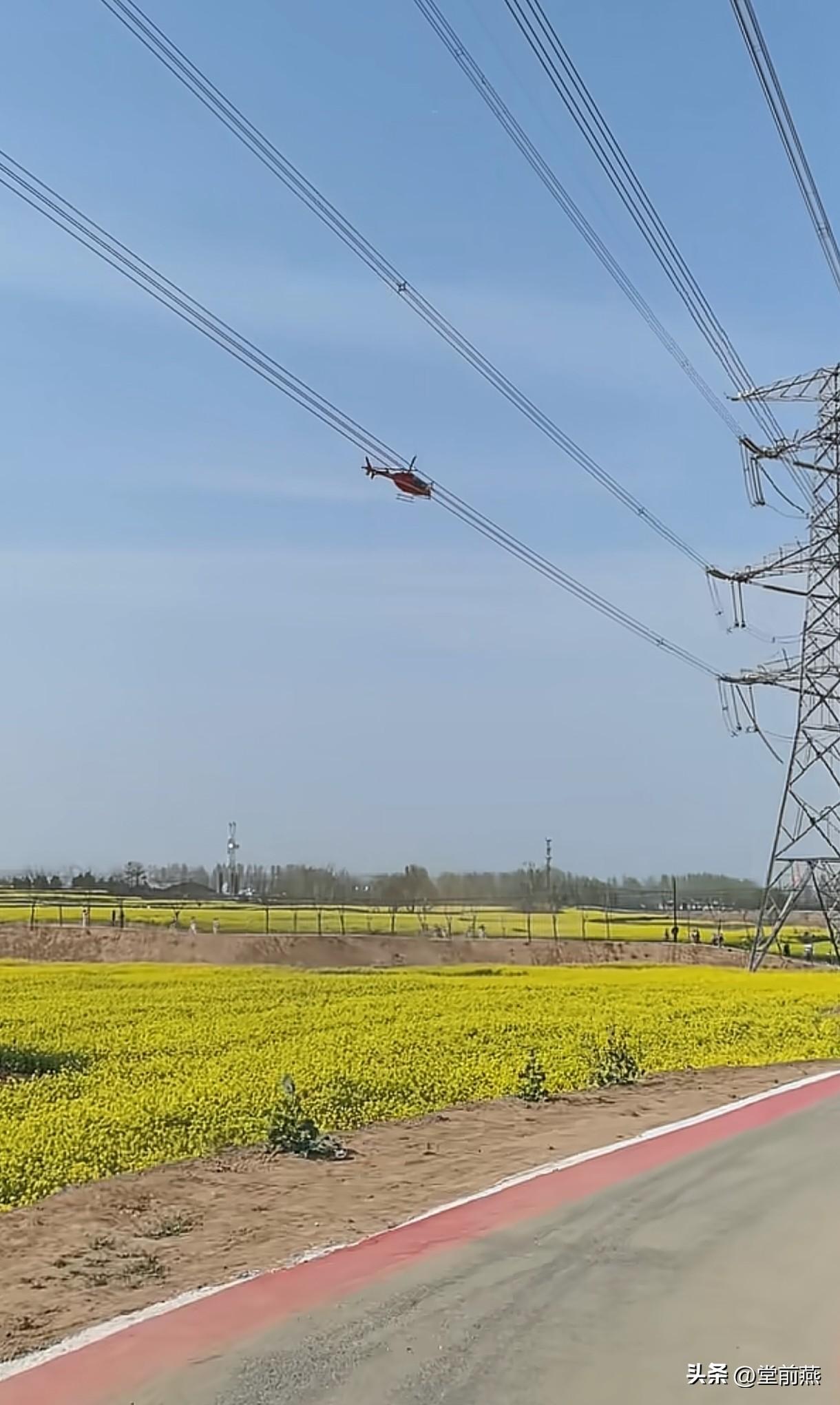 又来免费打药了，我滴妈，无人机打药都不行了，会被打，直接用直升机打药