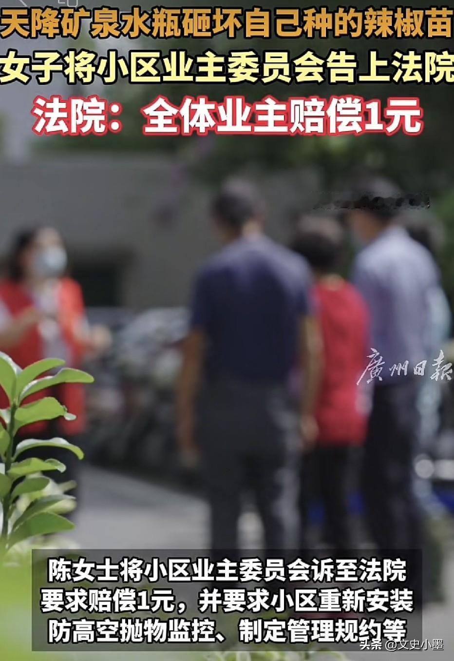 湖北，一位大姐因为一个矿泉水瓶打了一场官司！

起因是，大姐家住在某小区旁边，她