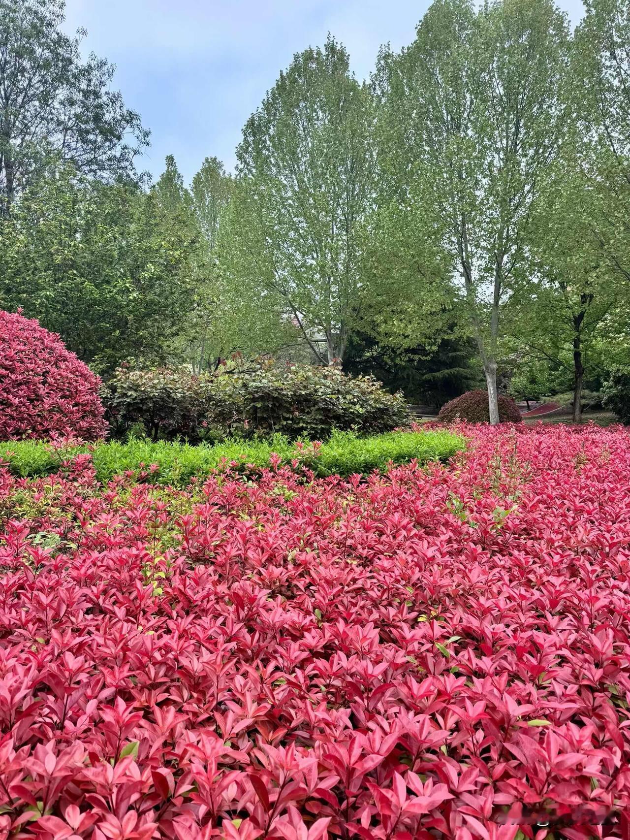 张雪峰的嘴有多厉害?
【小对联】
上：风口；
下：……？