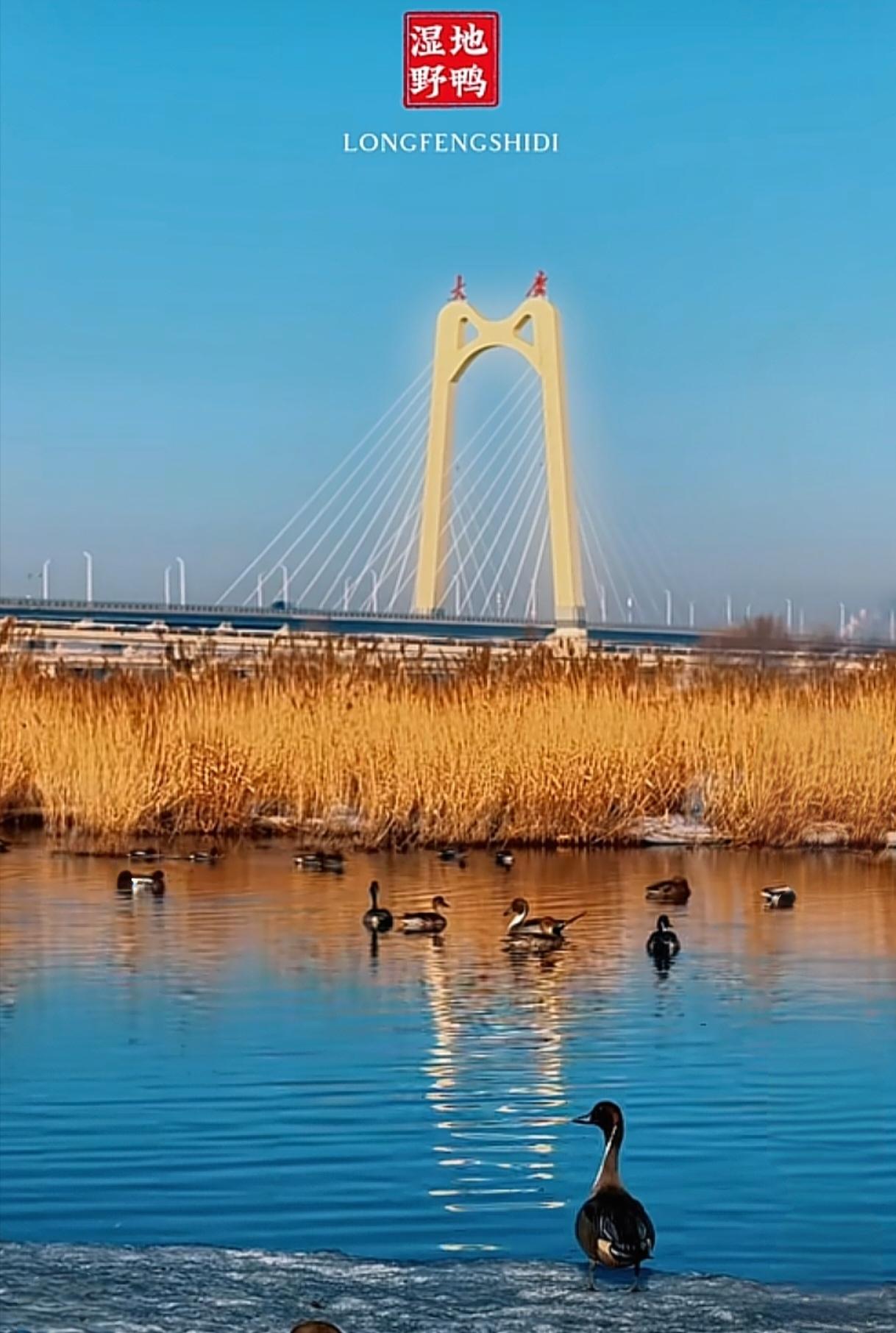 三哥給上海的姐姐和侄女邮寄了150个土鸡蛋，鸡蛋不到200元，邮寄费就80多元～