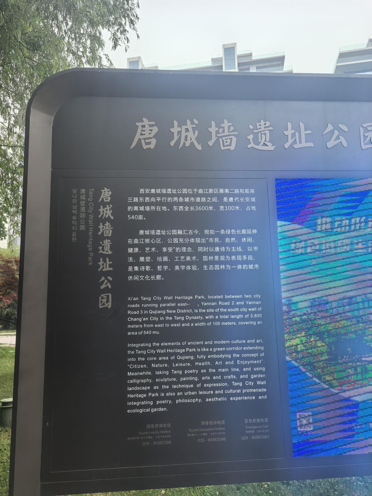 《隔代温情》
曲江风暖，
稚语轻软。
不见烽火连三月，
唯见家书笑语暖。
岁月流