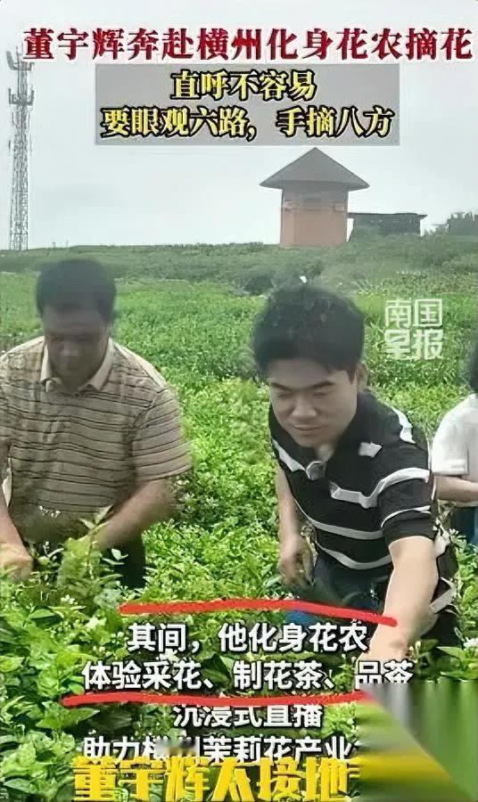 我姐做直播6年

看完最近这事愣了

张口就说这人是真会干长久买卖。

我还怼她