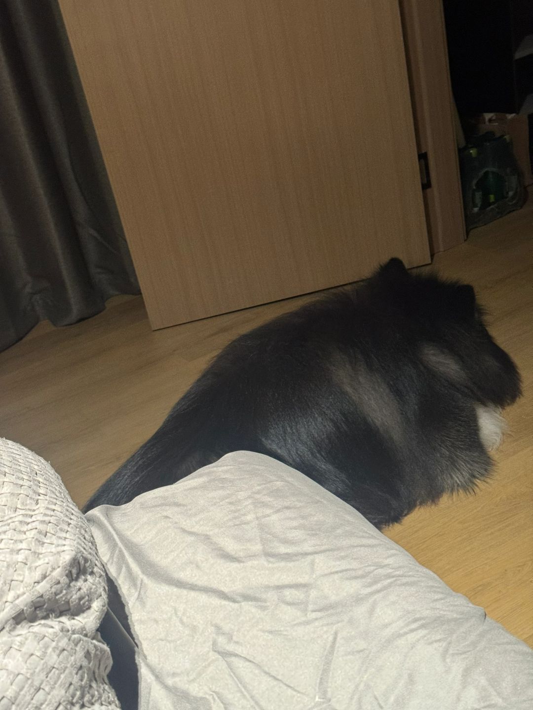 宝睡着了也好可爱😍