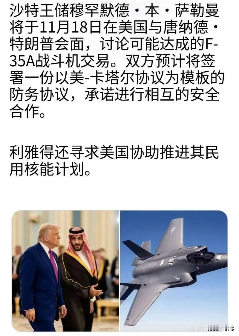 沙特王储穆罕默德·本·萨勒曼将于11月18日在美国会见唐纳德·特朗普，讨论F-3