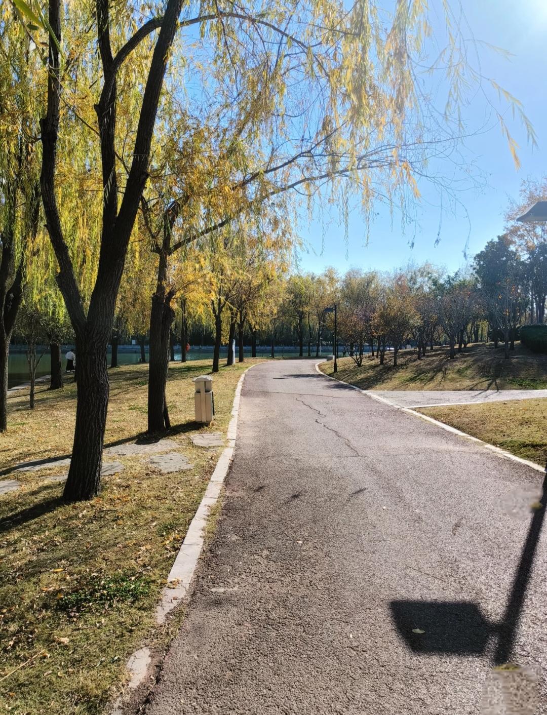 太扎心了这段话!
社会学家说:“现在很严重的问题，不是00后不结婚， 90后不生