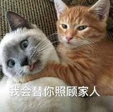 小树虫品品影视剧