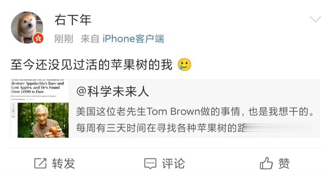 #当南方人第一次见到苹果树#同志们，苹果树也分很多种。为了产量，苹果树的株型千差