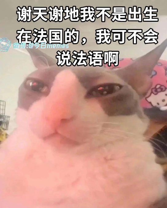 好在（9gag）哎呀